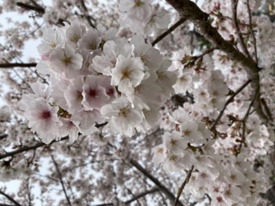 ワクワク♥ドキドキの進級！！